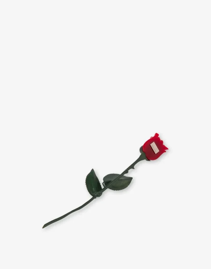 Broche metálico maxi